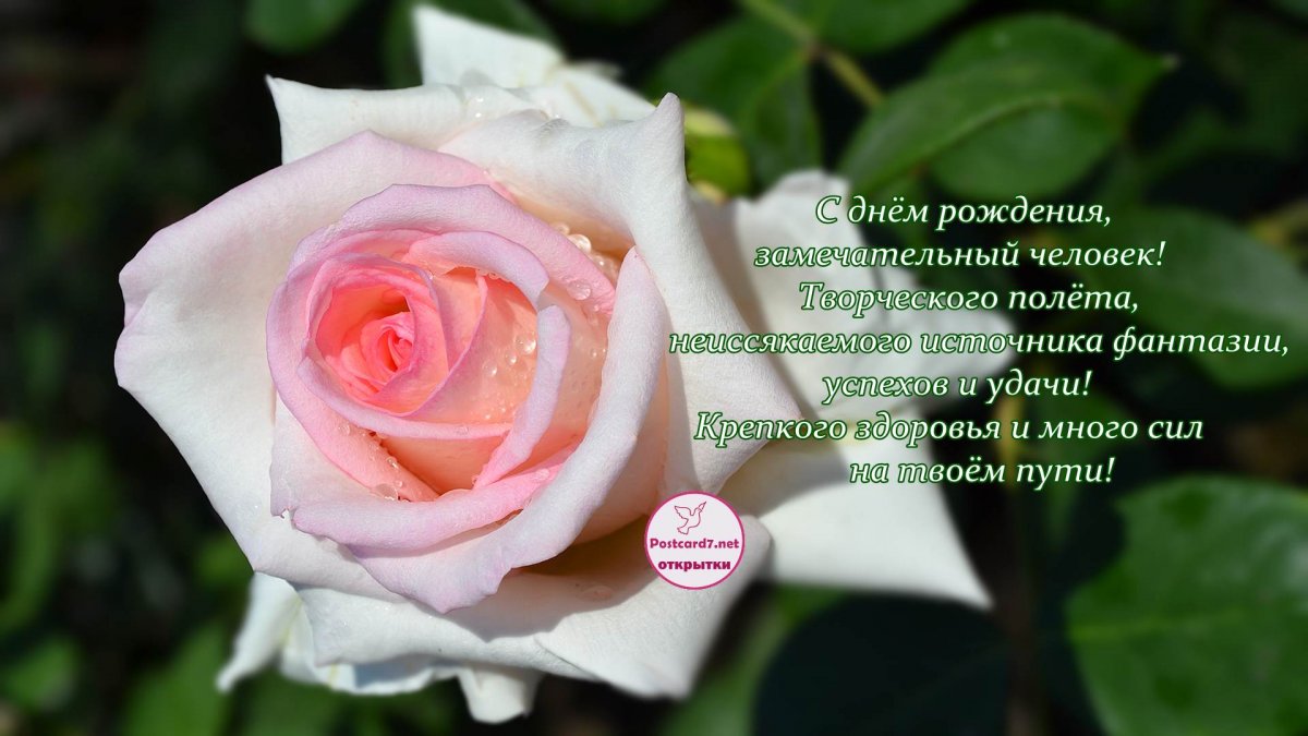 Поздравления С Днем Рождения Самому Лучшему