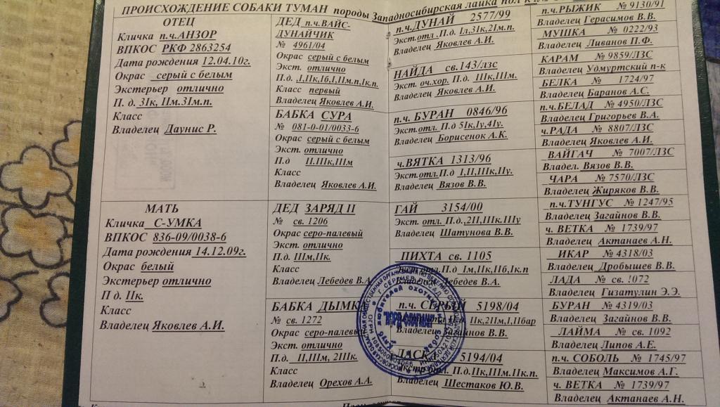 Магазин Вайгач Киров