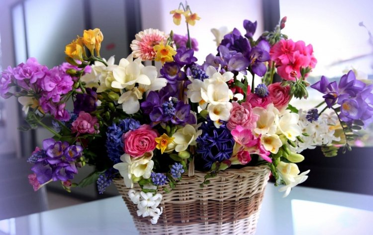 colorful-flowers-purple-basket-beautiful-flower-plant-flora-different-land-plant-flowering-plant-floristry-flower-bouquet-flower-arranging-floral-design-cut-flowers-centrepiece-artificial-flower-705263.jpg