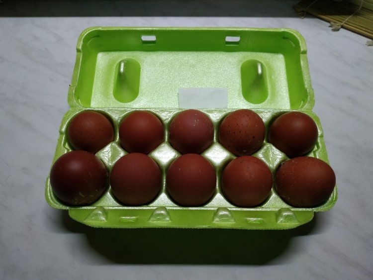 Яйца.jpg
