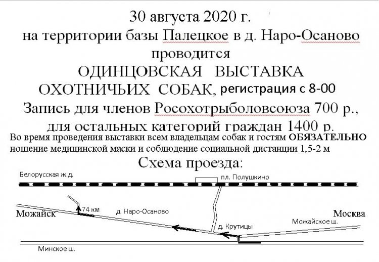 Одинцовская выставка 2020 г..jpg
